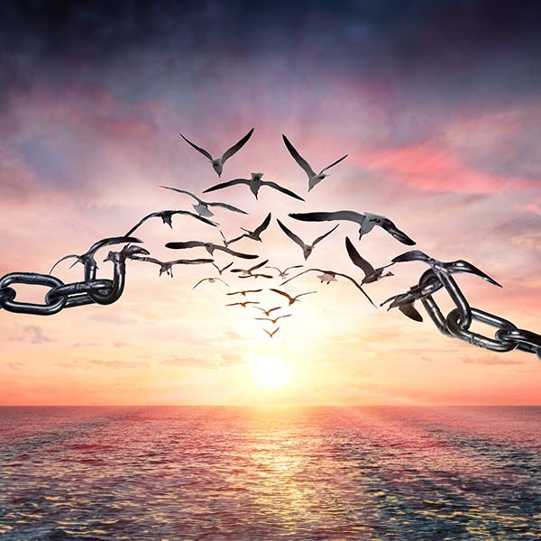 An illustration of chains being broken and turning into birds in front of a sea and sunrise background.