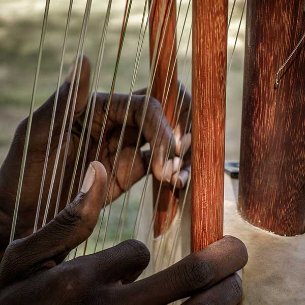  artist's hands playing the African instrument called kora
