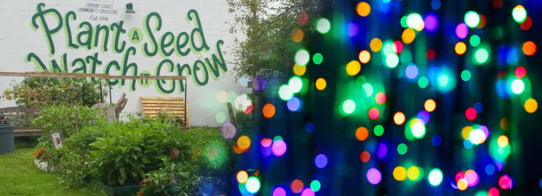 The Georgia Street Community Collective farm and colorful holiday lights